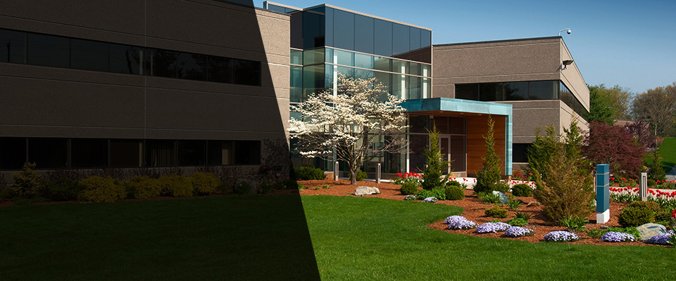 Winter Park Landscapers