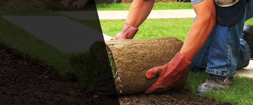 Winter Park Landscapers